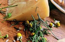 Taste of Europe in Mexico: History and Flavors of Artisan Cheese