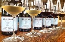 Yarra Valley Afternoon Winery Tour - Half Day from Melbourne
