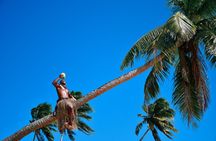 Full Day Cultural Island Tour with Lunch & Cruise