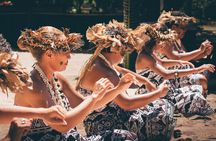 Full Day Cultural Island Tour with Lunch & Cruise