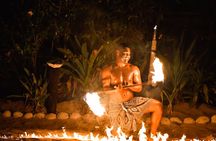 Sunset Cruise with Dinner and Fire Show