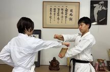 Karate Experience with the Shotokan Karate-do Instructor