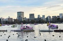 Best of Tokyo Walking Tour Part 1