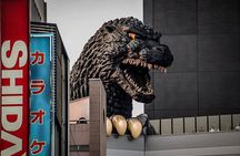 Tokyo Highlights Guided Walking Tour Part 2