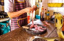  Le Mat Snake Village Tour with 10 Dishes in Hanoi