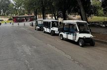 Rome: Entrance ticket Zoo + Golf Cart tour of Villa Borghese