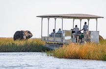 3 Days Camping Safari in Chobe National Park From Victoria Falls
