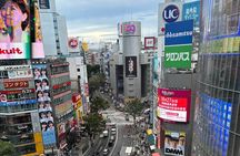 Dynamic Tokyo Private Custom Walking Tour