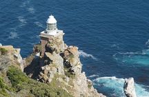 Private Full day Cape of Good Hope, Boulders Penguin, Cape Point 