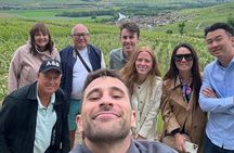 Reims afternoon tour Champagne and family growers