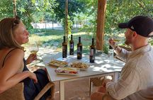 Biodynamic Wine Tasting with Producer in Vinci
