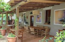 Biodynamic Wine Tasting with Producer in Vinci