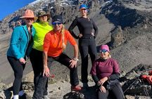  A 1-Day Kilimanjaro Hike on Machame Route with Hotel Pickup