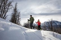 Park City Snowshoe
