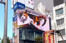 Tokyo Gotokuji Cat Temple, Shinjuku Cat Cafe and 3D Cat Tour 