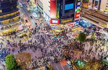 Tokyo Private Driving Tour by Car/Van with English Chauffeur