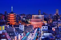 Tokyo Private Driving Tour by Car/Van with English Chauffeur