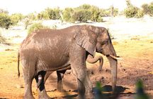 3 Days Private Trip to Victoria Falls Chobe Tour 