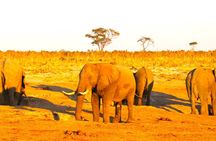 3 Days Private Trip to Victoria Falls Chobe Tour 