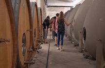 Half-day guided tour on the Burgundy wine Route in a classic car