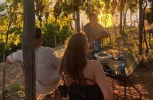 BarCa Winery Cinqueterre Trekking & Wine Tasting & Pesto Class