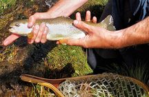 Guided Fly Fishing Tour in Estancia La Carrera