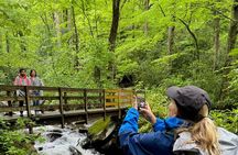 Best of the Smokies Custom Private Tour