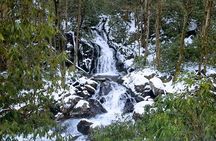 Best of the Smokies Custom Private Tour