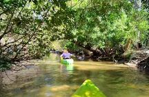 Magic of Nature Guided Kayak Eco Tour