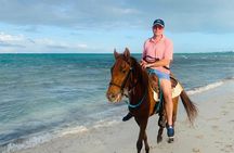 Sunset Horse Ride Experience 