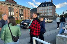 Aarhus Walking Tour: From Viking Village to Metropolis