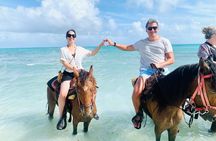 60-Minute Private Horseback Riding Experience in Turks and Caicos
