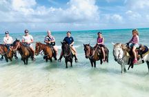Small Group Horseback Riding Adventure in Caicos Islands 