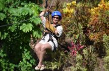 Zipline, Horse, Buggy and Macao Beach, Water Park with Lunch
