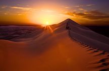 Evening Desert safari Dubai With Quad Bike Ride & BBQ dinner