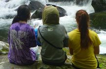 Stroll Back in Time Smokies History Streams and Forest Hike
