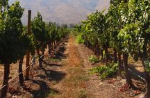 Discover the Santa Rita Wine and Garden Unforgettable