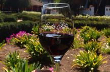Discover the Santa Rita Wine and Garden Unforgettable