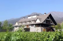 Alyan Family Wines by Sun and Unforgettable Dinner