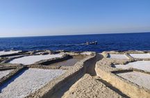 Full Day Private Gozo Tour