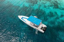 private Boat Dive charter Marine Park, incl. guide, all Equipment