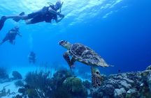 private Boat Dive charter Marine Park, incl. guide, all Equipment