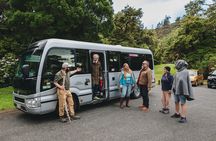 Wellington's Original LOTR Experience - includes Weta and Lunch