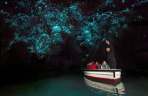 Auckland to Rotorua via Waitomo Caves One-Way Private Tour