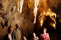 Auckland to Rotorua via Waitomo Caves One-Way Private Tour