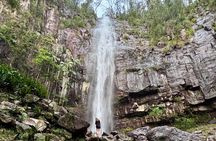 Glow-worms, Waterfalls & Rainforest Experience