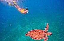  Culebra Swim with Turtles Adventure and Flamenco Beach by Ferry