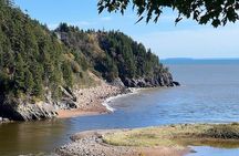 Top 10 Highlights & Bay of Fundy (Shared tour) in Saint John, NB