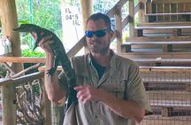 Everglades Alligator Airboat Adventure from Miami 