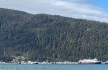 Mendenhall Glacier Waterfall and Whale Watching Tour